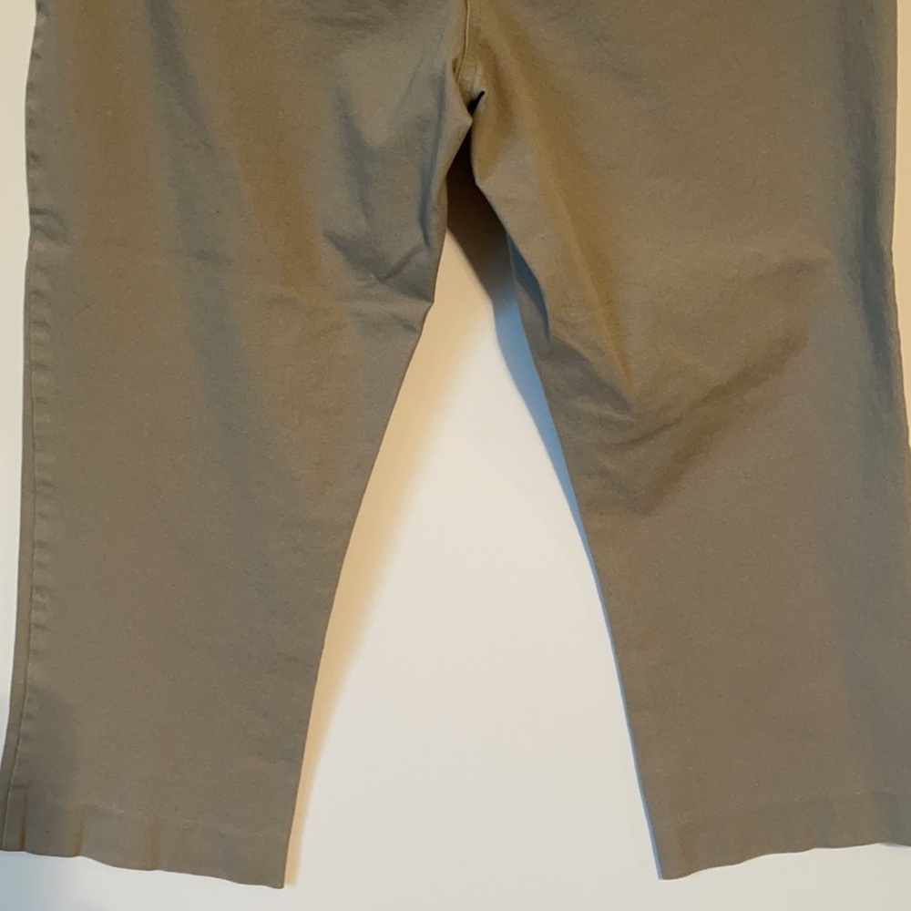 ALFANI Capris - Picture 12 of 14